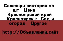 Саженцы виктории за 10шт › Цена ­ 500 - Красноярский край, Красноярск г. Сад и огород » Другое   